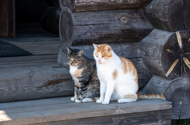 Similar image 21894955