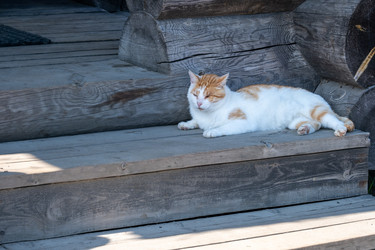 Similar image 21894956