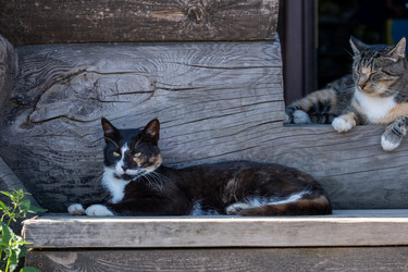 Similar image 21894957