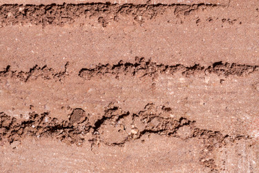 Similar image 21895166