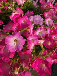 Similar image 21894958