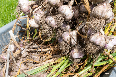 Similar image 21894960