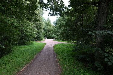 Similar image 21894961