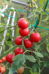 Similar image 21895416