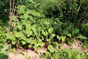 Similar image 21895418