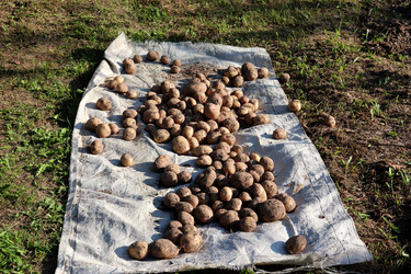 Similar image 21895420