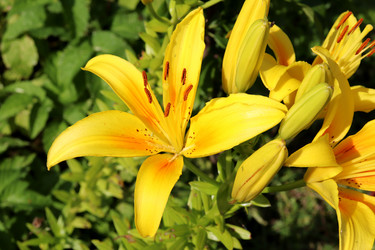 Similar image 21895424