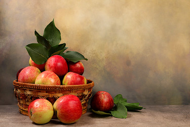 Similar image 21894964