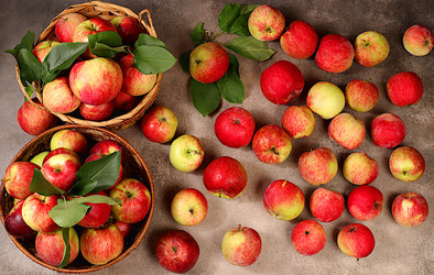 Similar image 21894965