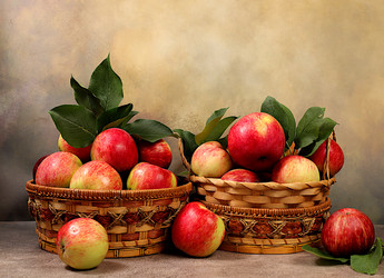 Similar image 21894966