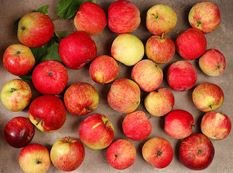 Similar image 21894973