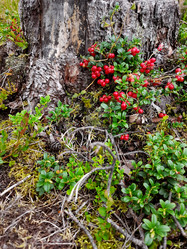 Similar image 21896234