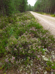 Similar image 21896235