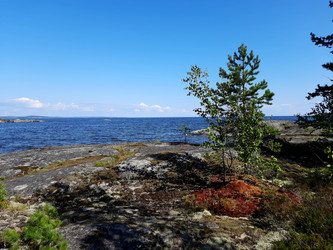 Similar image 21896239