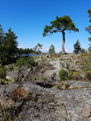 Similar image 21896241