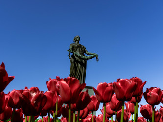 Similar image 21895252