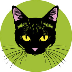 Similar image 21896386