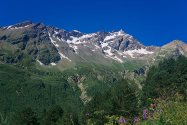 Similar image 21896667