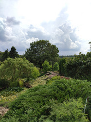 Similar image 21895255