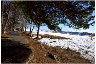 Similar image 21894987