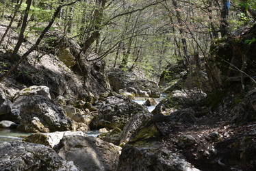 Similar image 21894990