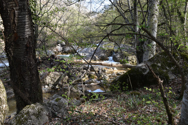 Similar image 21894991