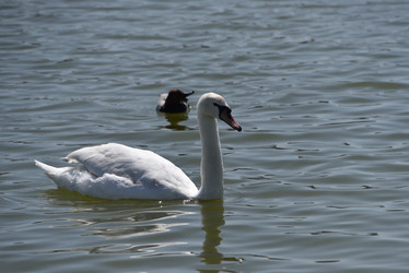 Similar image 21894992