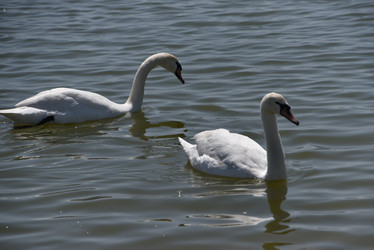 Similar image 21894993