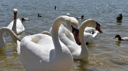 Similar image 21894995