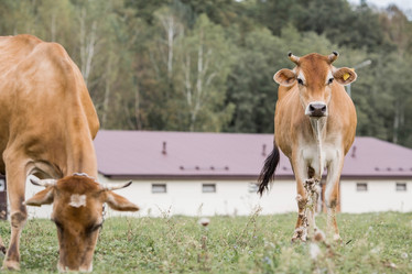 Similar image 21902232