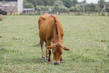 Similar image 21902233