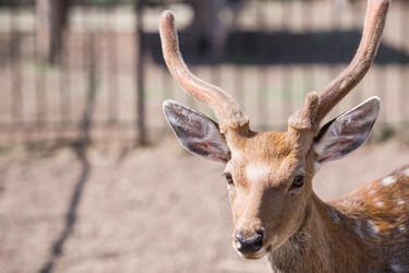 Similar image 21902234