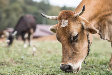 Similar image 21902235