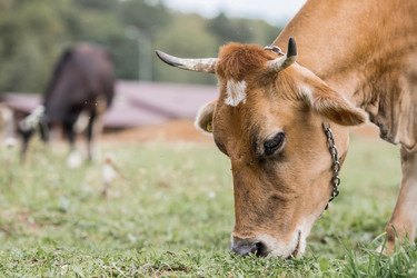 Similar image 21902237