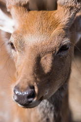 Similar image 21902238