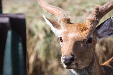 Similar image 21902240