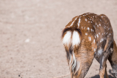 Similar image 21902242