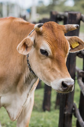 Similar image 21902243