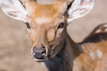 Similar image 21902244