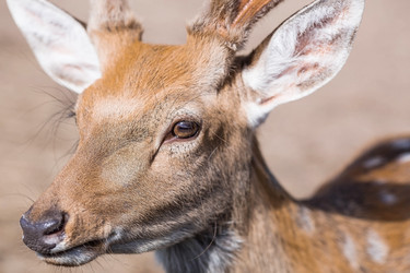 Similar image 21902246