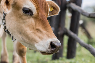 Similar image 21902247