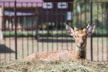 Similar image 21902248