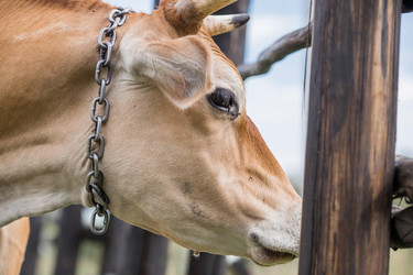 Similar image 21902249