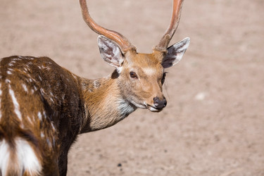 Similar image 21902250