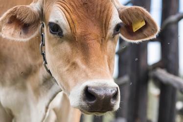 Similar image 21902251