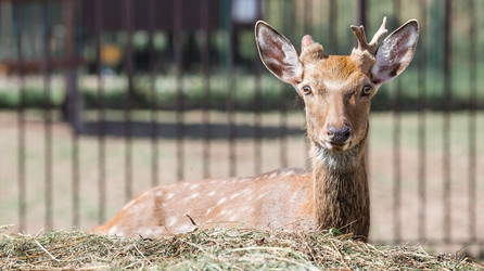 Similar image 21902252