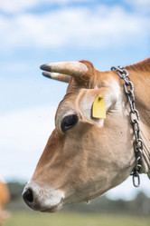 Similar image 21902253