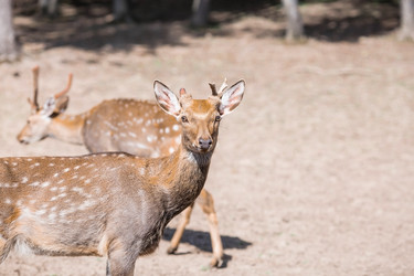 Similar image 21902254