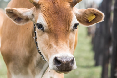 Similar image 21902255