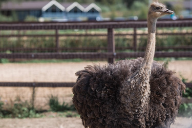 Similar image 21902256